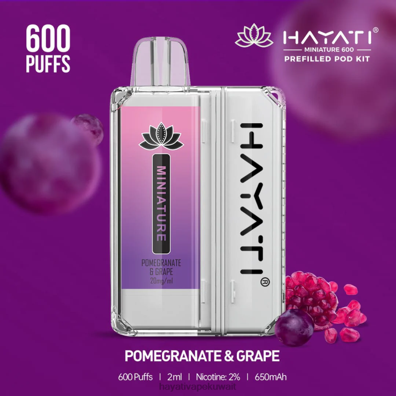 Hayati Kuwait city - Hayati Miniature 600 مجموعة جراب الرمان والعنب DFR47T42