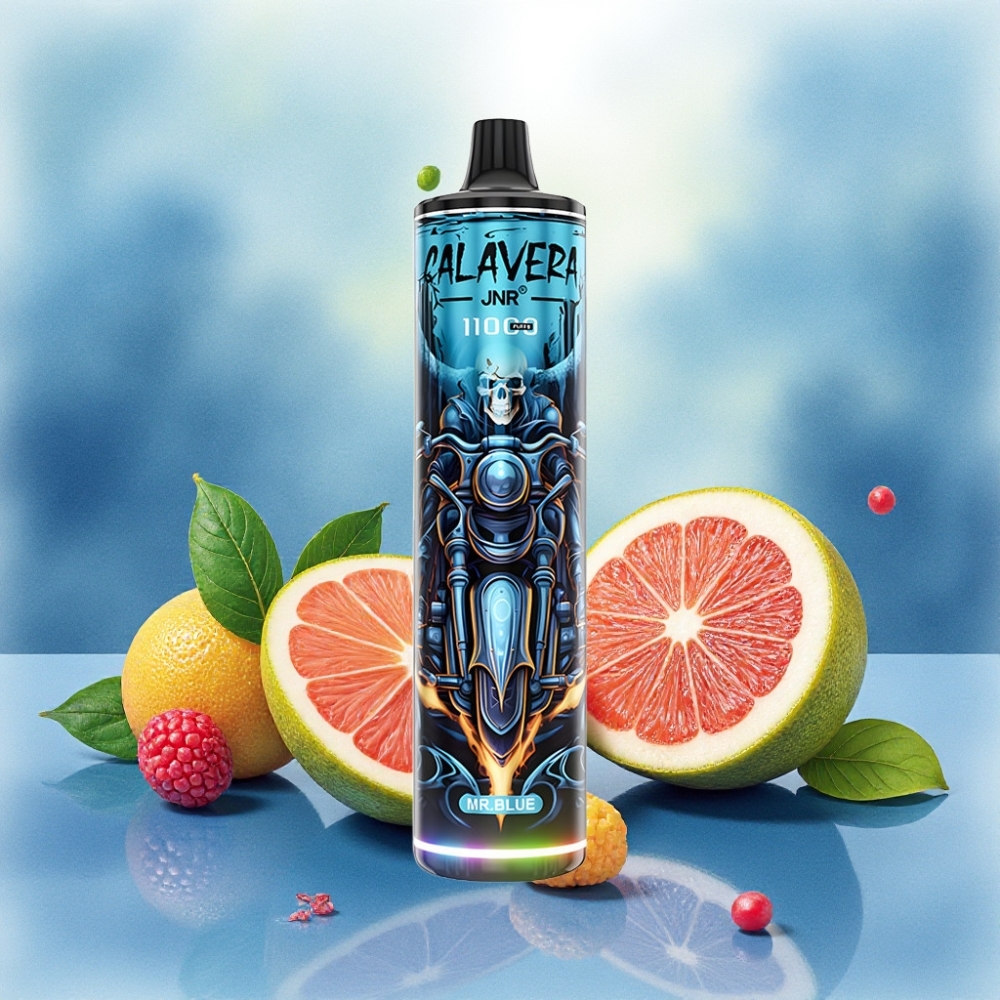 JNR Calavera 11000 نفخة شاحن Type-C سعة 21ml بنكهة الأزرق