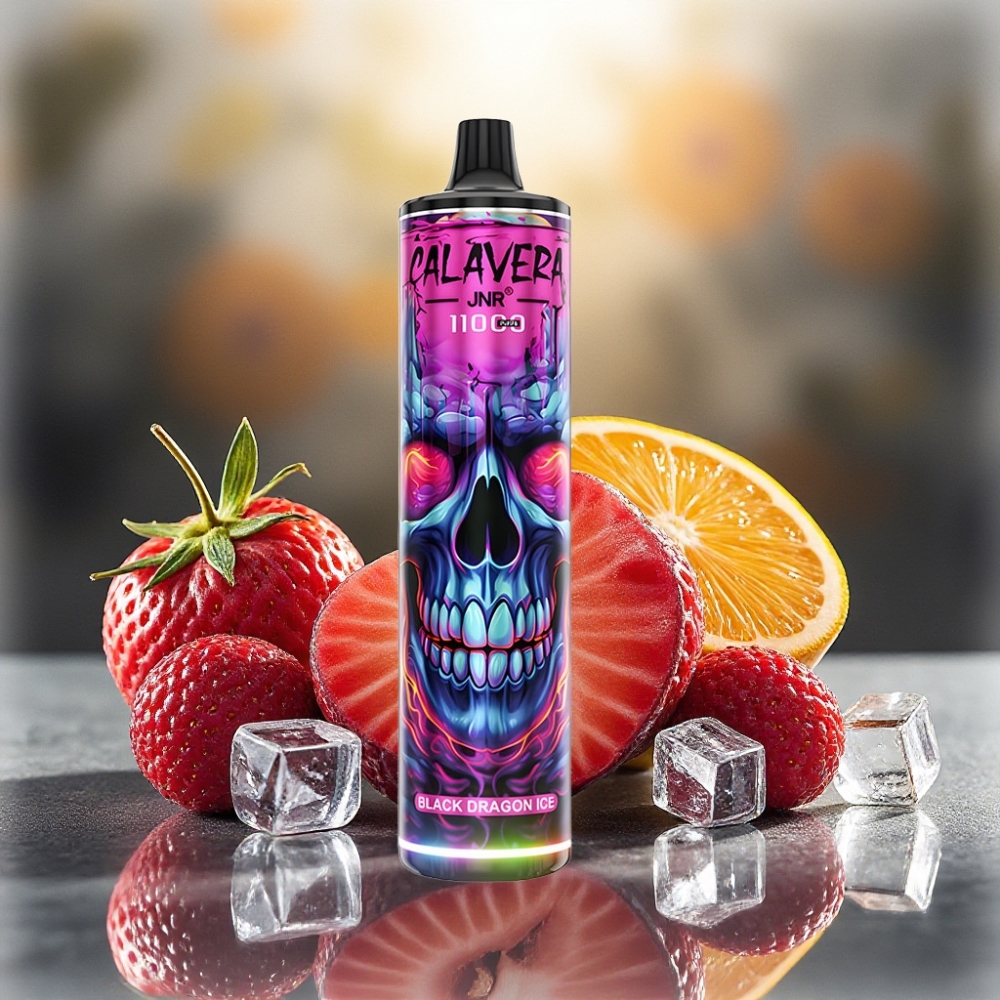 JNR Calavera 11000 نَفخة شاحن Type-C سعة بطارية 850 ملي أمبير نكهة التنين الأسود الجليدي