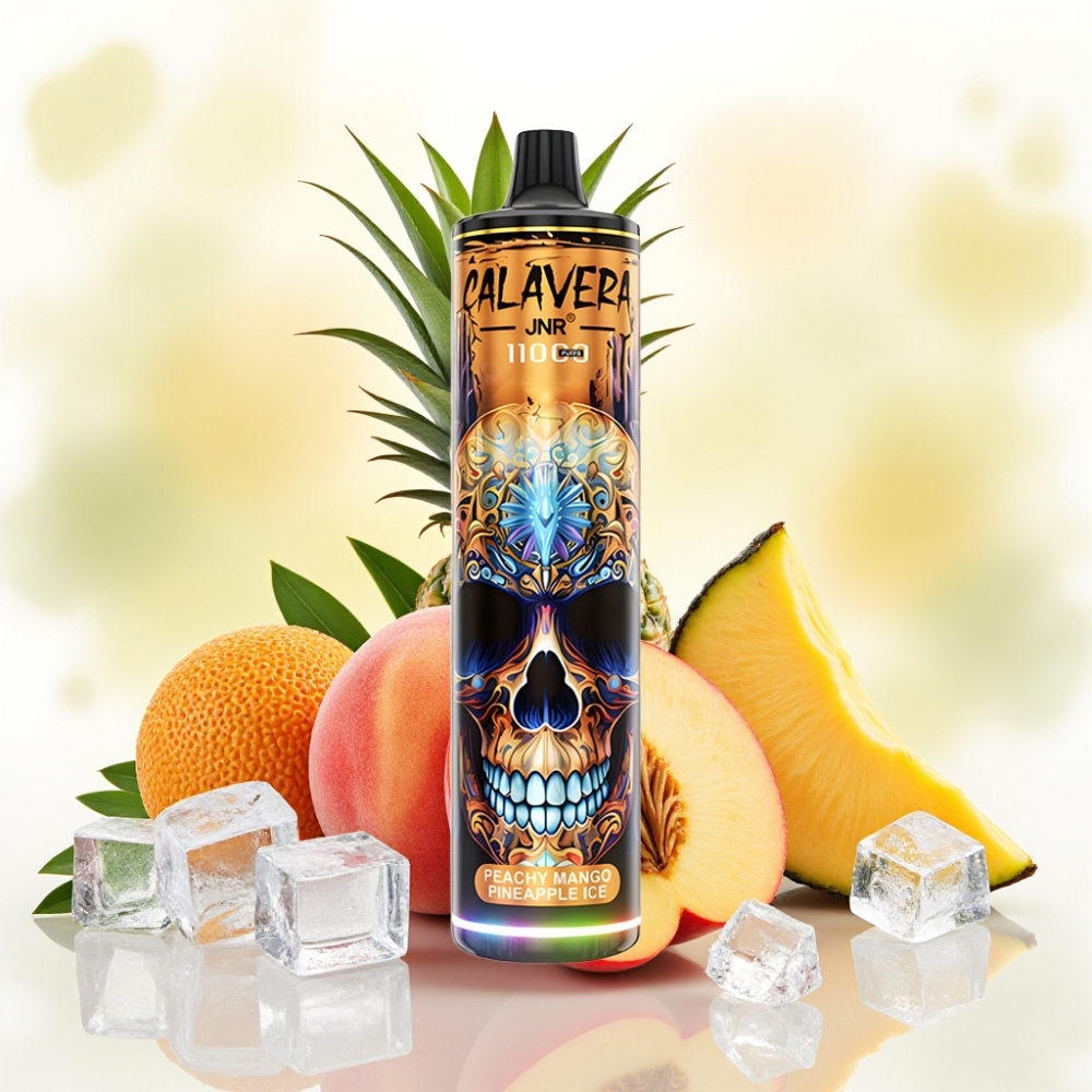 JNR Calavera 11000 نَفَثات شحن Type-C بطارية 850 مللي أمبير خوخ مانجو أناناس جليدي