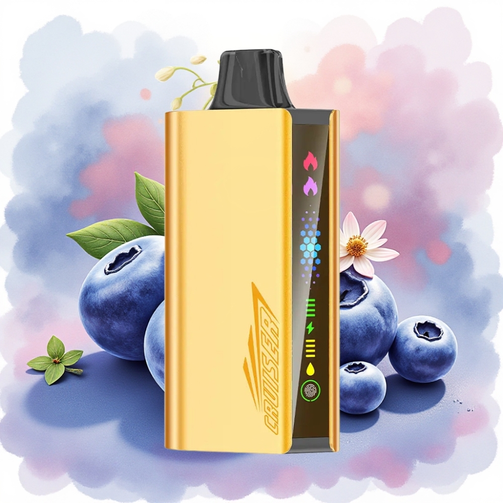 JNR Cruiser 12000 Puffs شحن مدمج شاشة عرض بطارية 3500 مللي أمبير نكهة توت أزرق