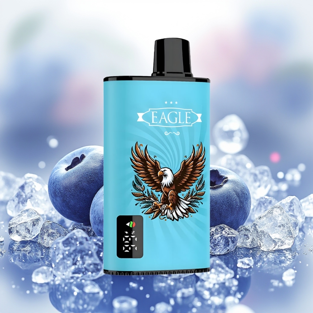 JNR EAGLE Smart 23000 نفحة شاشة رقمية توت أزرق مثلج مع ملف شبكي 1.0 أوم
