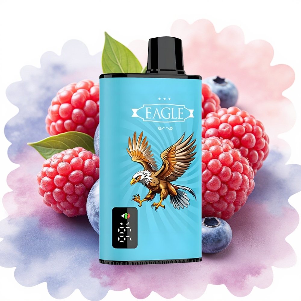 JNR EAGLE Smart 23000 Puffs شاشة رقمية توت أزرق وعليقة حامضة