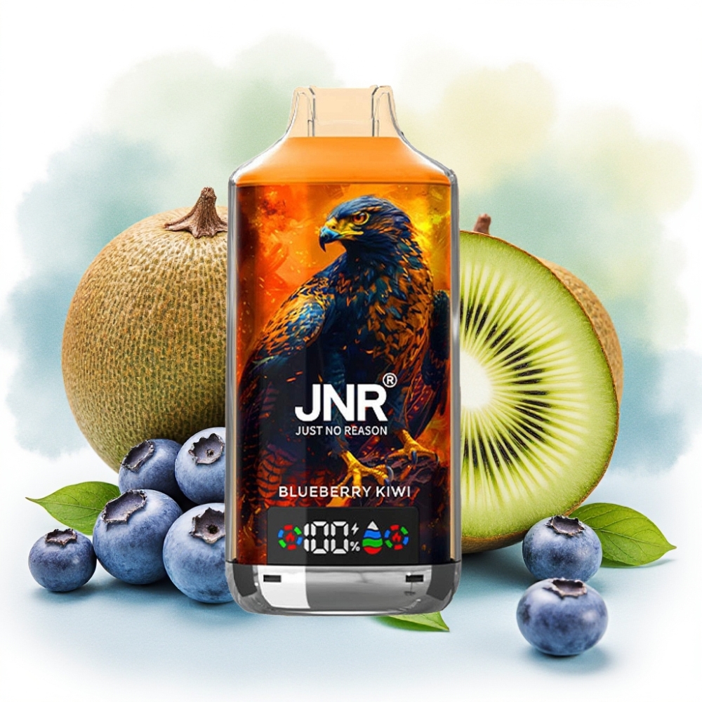 JNR Falcon X 18000 نفخة بطارية 750mAh سعة 24ml توت أزرق وكيوي