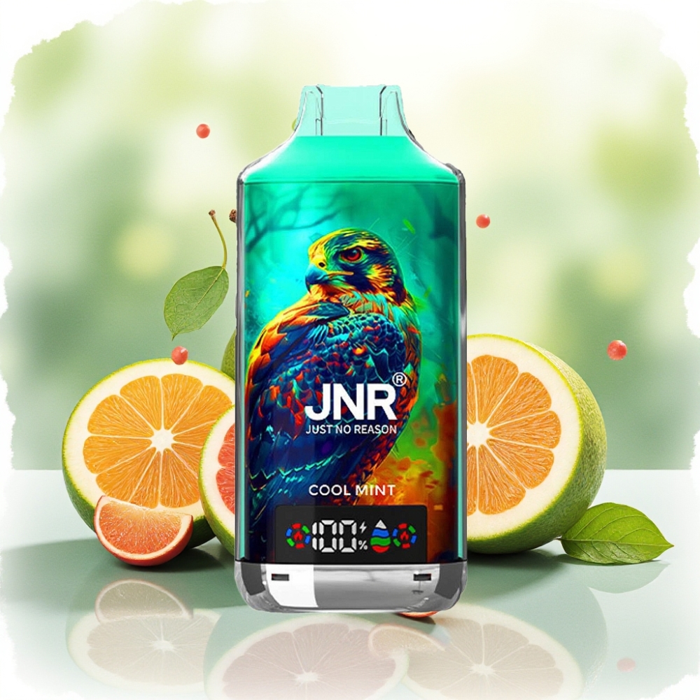 JNR Falcon X 18000 Puffs 750mAh 24ml نعناع منعش ثنائي الميكروية شاشة رقمية