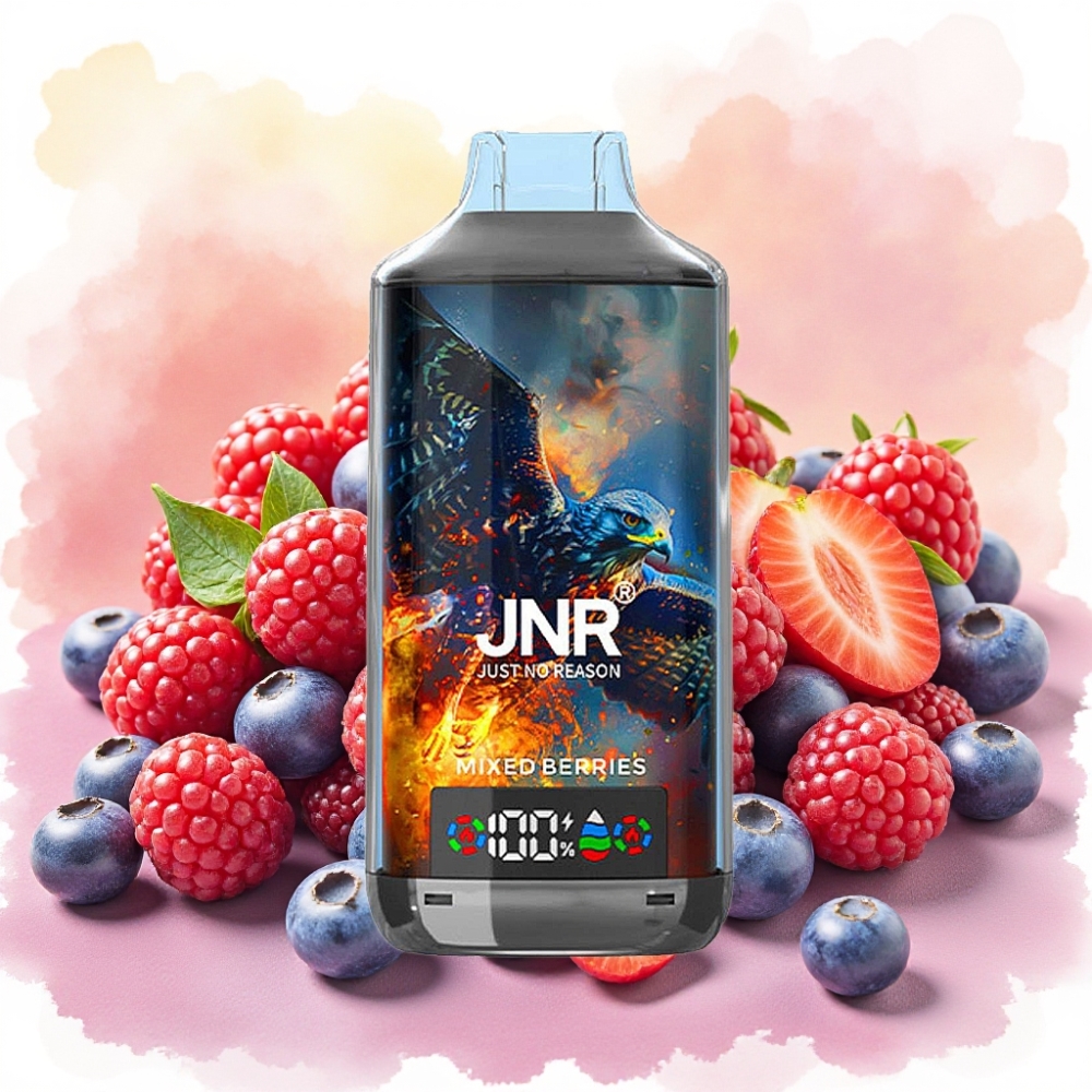 JNR Falcon X 18000 Puffs 750mAh 24ml توت مشكل شاشة رقمية شحن سريع Type-C