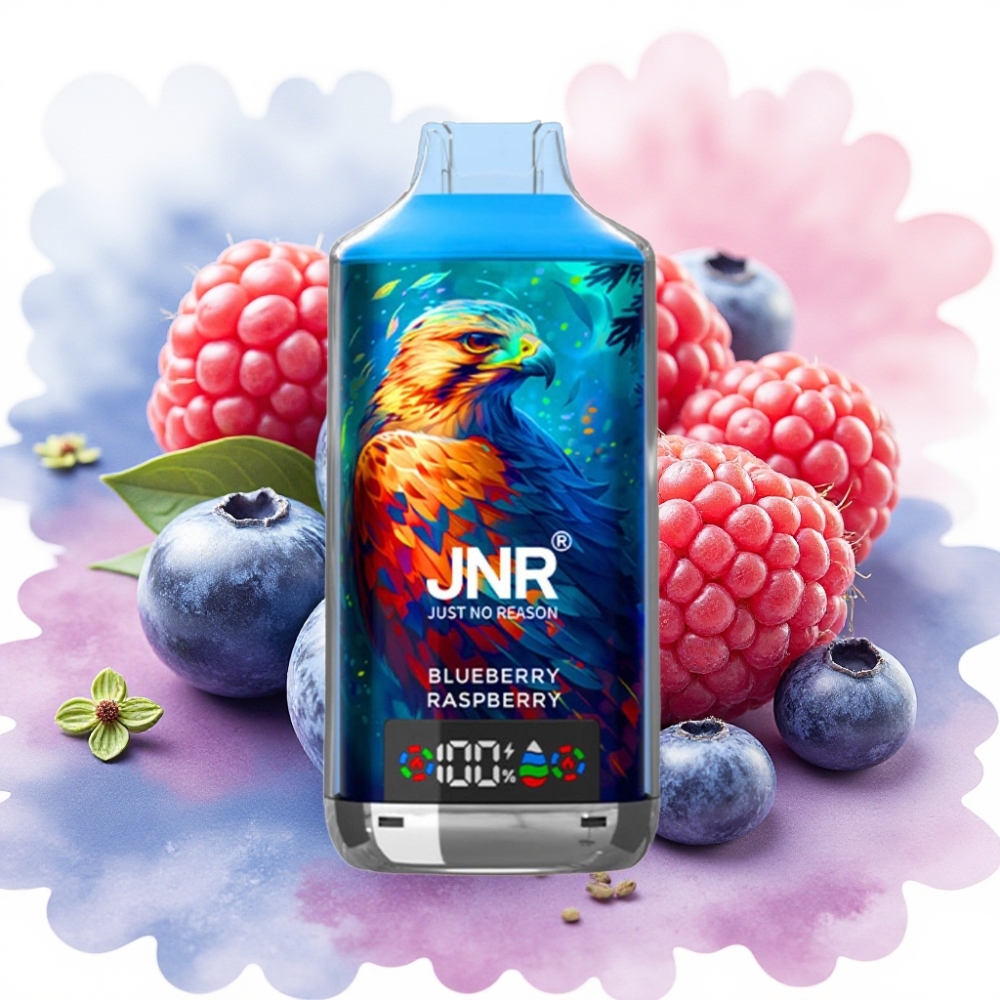 JNR Falcon X 18000 Puffs 750mAh توت أزرق وتوت بري شاشة رقمية شحن سريع Type-C