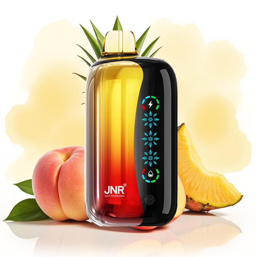 JNR Flex Ice 21000 نفخة تبريد قابل للتعديل نوع-C خوخ مانجو أناناس