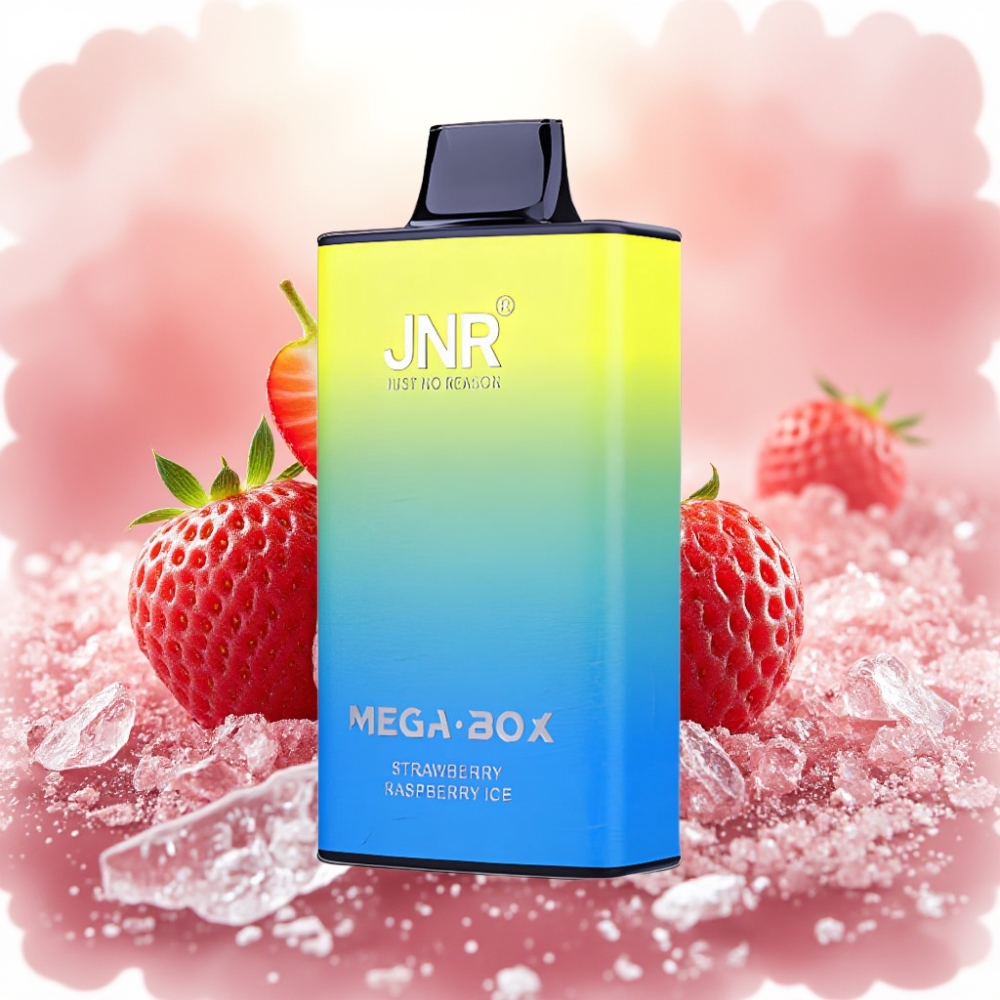 JNR Mega Box 25000 نفخة سحابة مزدوجة فراولة توت ثلج