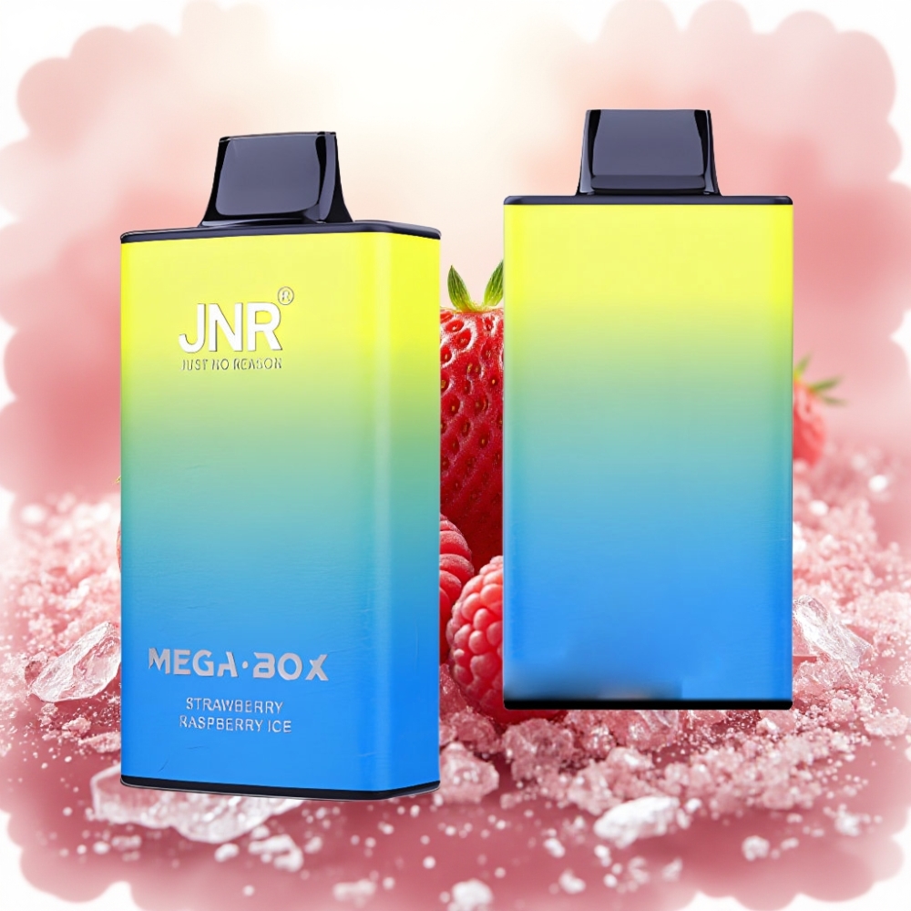JNR Mega Box 25000 نفخة سحابة مزدوجة فراولة توت ثلج