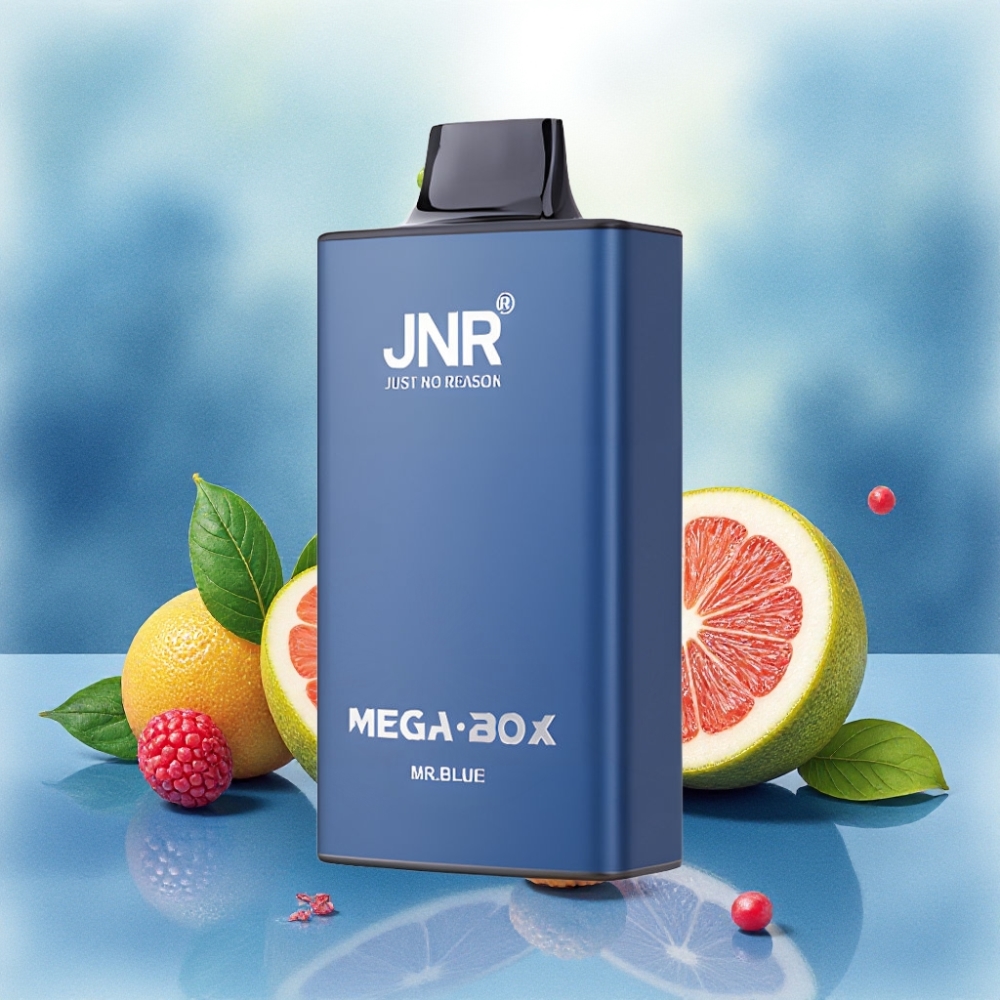 JNR Mega Box 25000 نفخة سيجارة إلكترونية بتصميم مزدوج مع نكهة مستر بلو