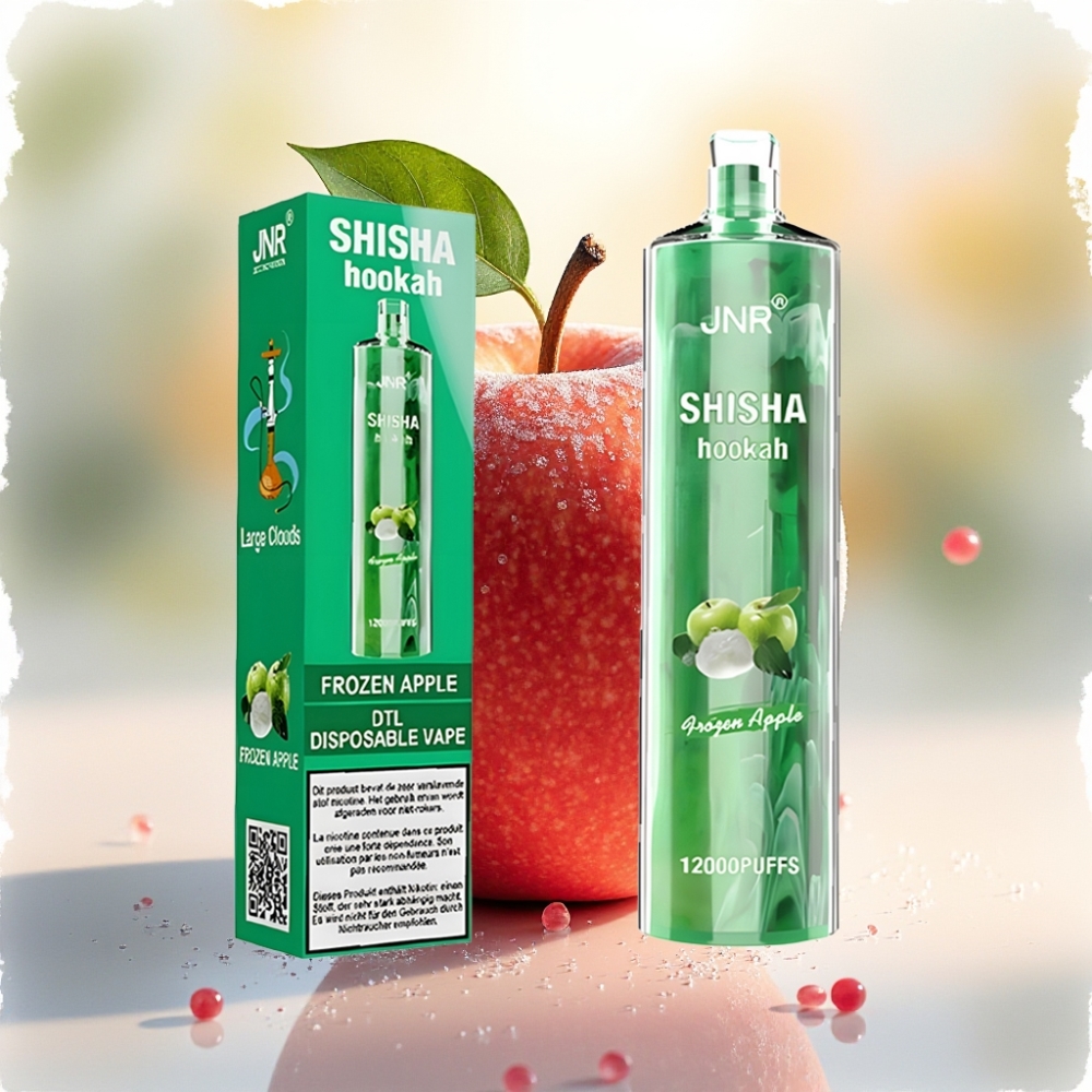 JNR Shisha Hookah 12000 نفخة تفاح مجمد سعة 24 مل نوع سي شحن سريع
