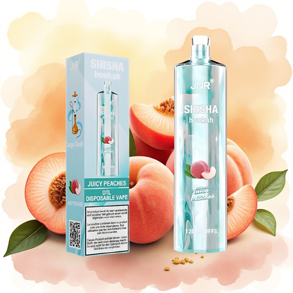 JNR Shisha Hookah 12000 نفخة بطارية 750mAh نكهة الخوخ العصيري